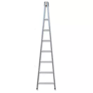 Window Cleaning Ladders
