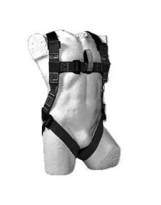 Full Body Harness with 2m Lanyard