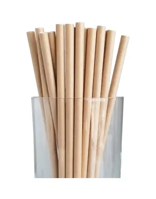JanSan Biodegradable Kraft Paper Straight Jumbo Straw 200mm