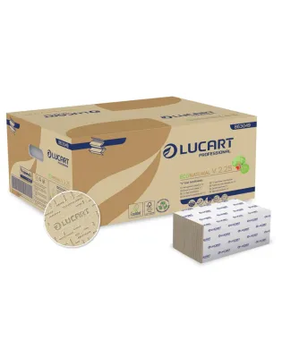 Lucart EcoNatural V2 863049D V-Fold Hand Towel 2 Ply Natural