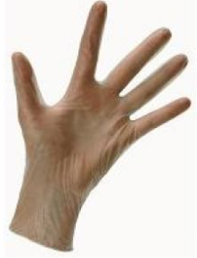 JanSan Vinyl Gloves, Powdered, Small, Clear